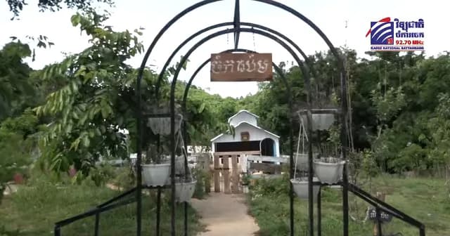 ផ្កាព្រៃរីសត ឋានសួគ៌បៃតងស្រុកសំឡូត ត្រៀមខ្លួនទទួលភ្ញៀវទេសចរក្នុងរដូវកាលផ្លែឈើ