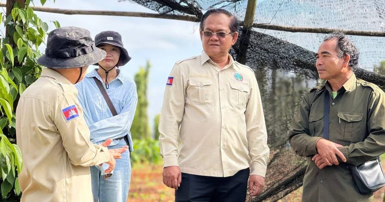 ឯកឧត្ដម រដ្ឋលេខាធិការ អ៊ួង កុសល និងក្រុមការងារ អញ្ជើញចុះពិនិត្យការដាំដុះដំណាំកសិកម្ម នៅក្រុងសែនមនោរម្យ