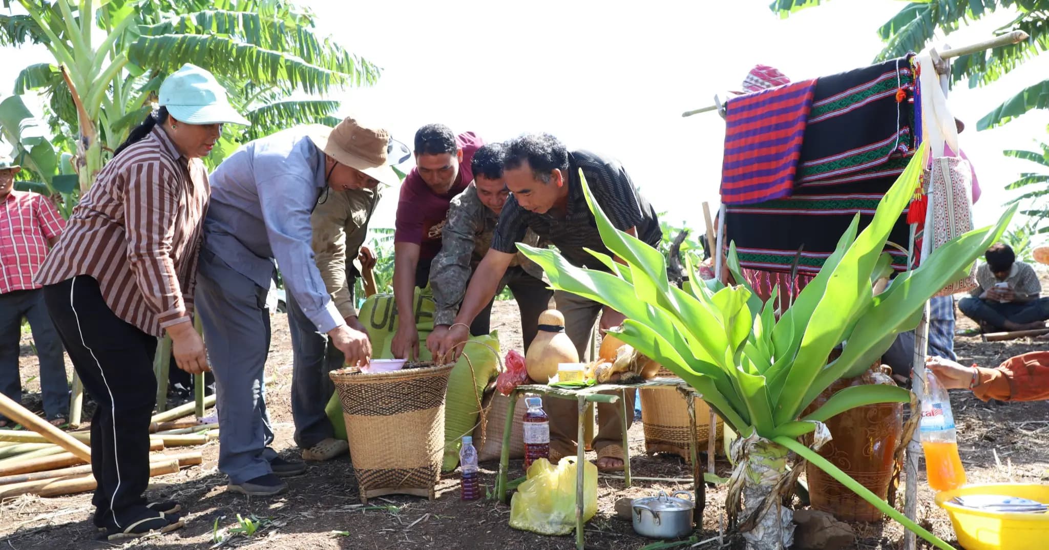 បងប្អូនជនជាតិដើមភាគតិចនៅមណ្ឌលគិរី នៅរក្សាទំនៀមទម្លាប់ប្រពៃណី «ចំការបុកដាំស្រូវ» ទោះបីបច្ចុប្បន្ននេះ សម័យបច្ចេកវិទ្យាកាន់តែទំនើបក៏ដោយ