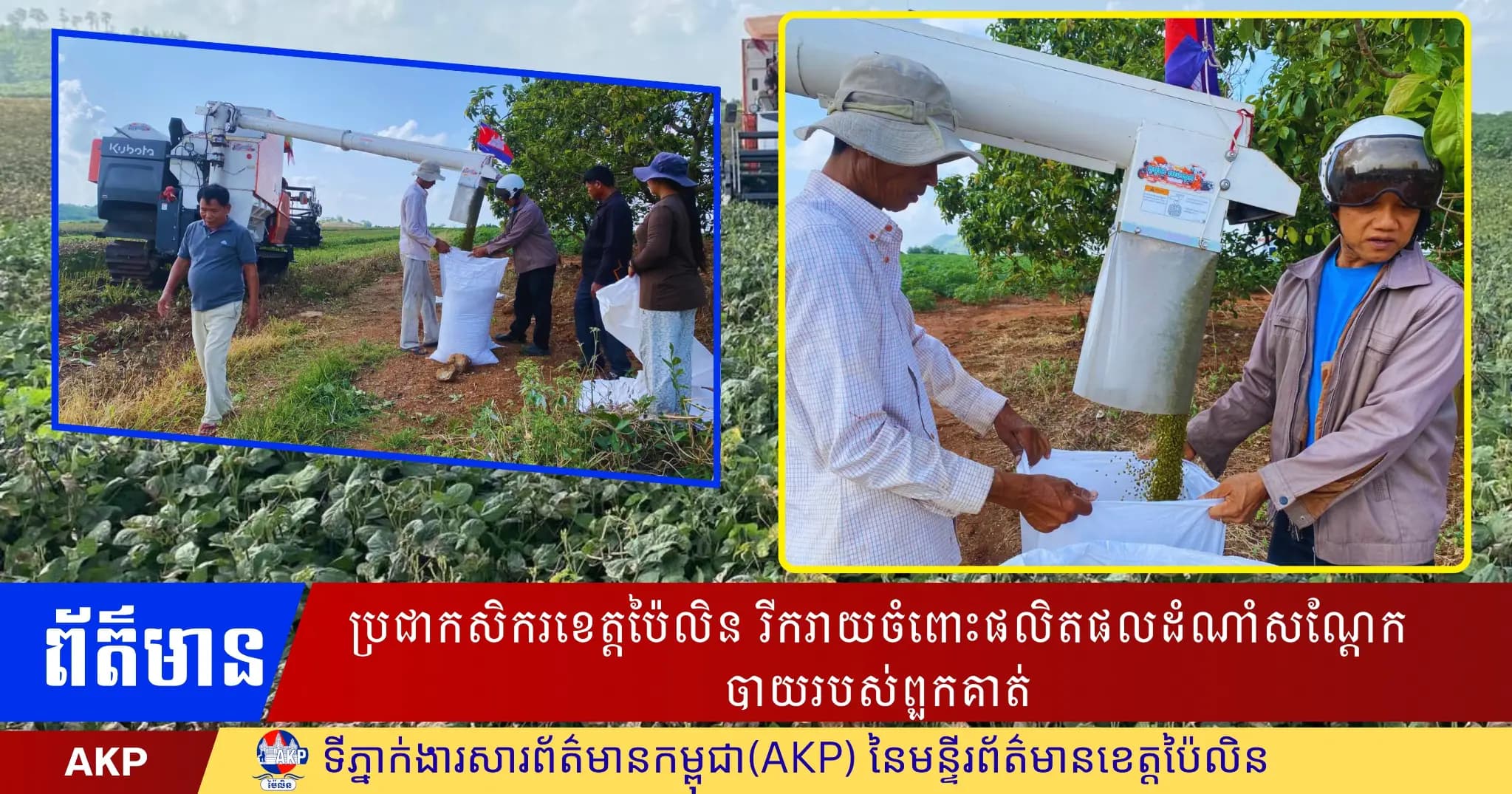 ប្រជាកសិករខេត្តប៉ៃលិន រីករាយចំពោះផលិតផលដំណាំសណ្តែកបាយរបស់ពួកគាត់